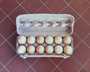 Photorealistic painting by Josonia Palaitis depicting a dozen eggs in a carton placed on a brown tiled floor with the lid open